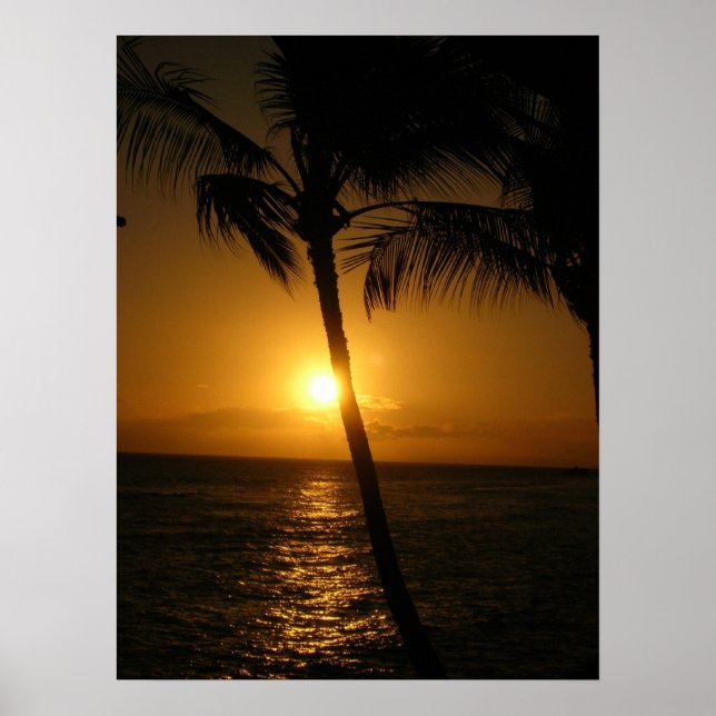 Póster Sol nas árvores, descendo (Frente)