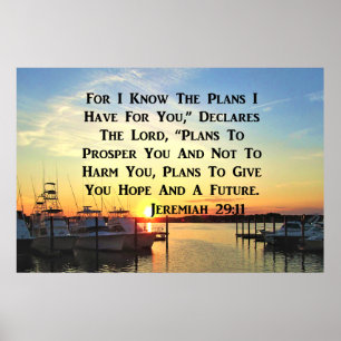 PÓSTER SOL NO LAGO JEREMIAH 29:11
