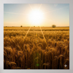 Poster Sol Noontime Intenso