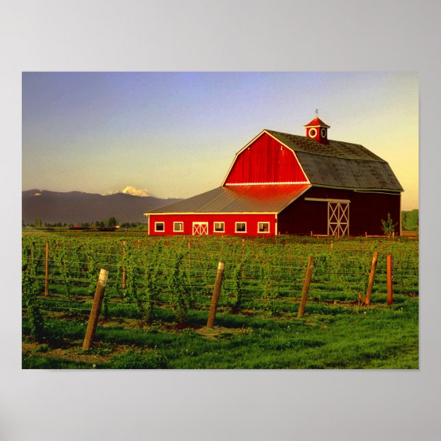 Póster Sol noturno num celeiro em Washington Skagit (Frente)