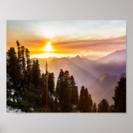 Poster Sol sobre floresta