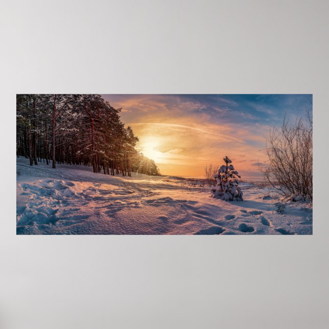 Poster Sol sobre neve, costa marítima de inverno (Frente)
