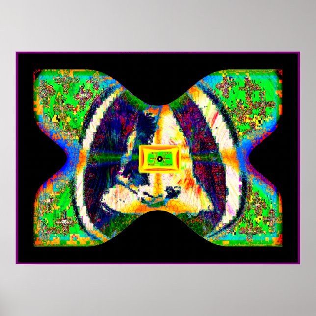 Póster SOLARiSBUTTERFLY (Frente)