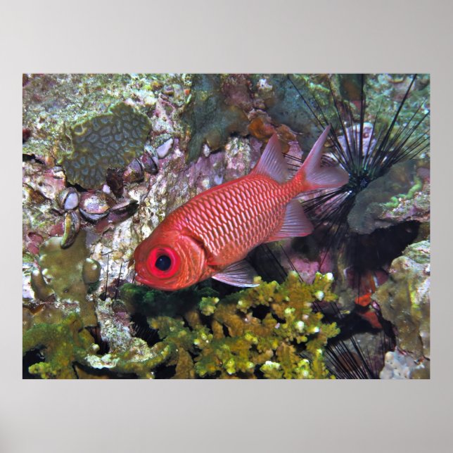 Poster Soldados (Frente)