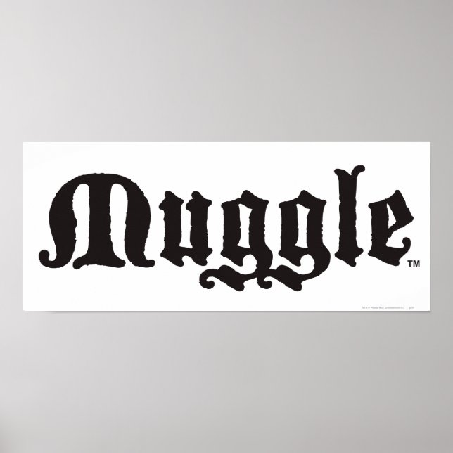 Poster Soletra Harry Potter| Muggle (Frente)