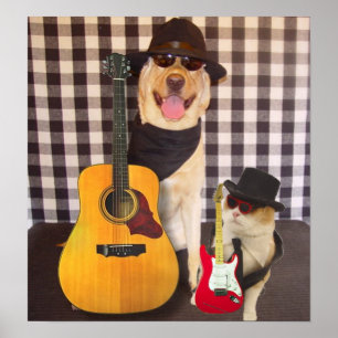 Póster Solicitações de Tomada