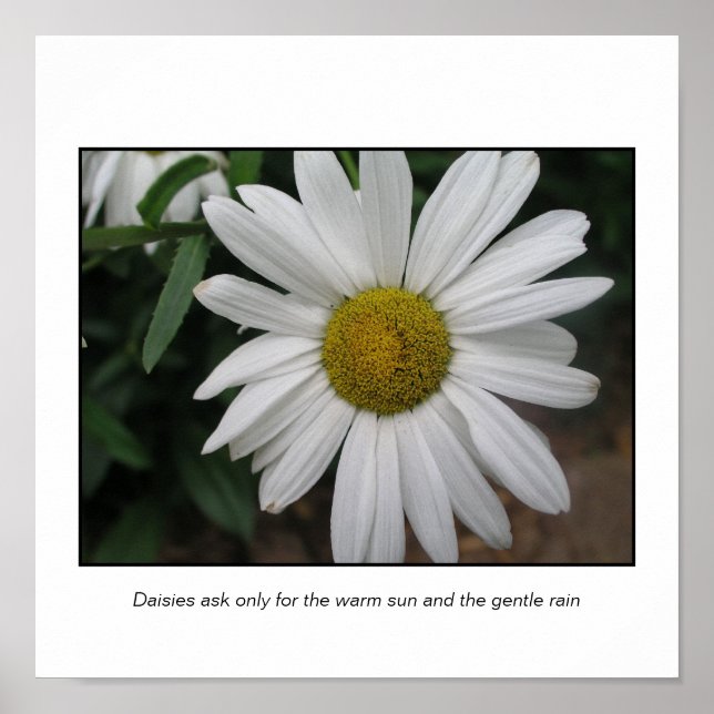 Poster Solicitações Simples (Frente)