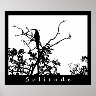 Póster Solidão