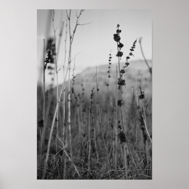 Póster solidão (Frente)