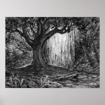 Solidão na Floresta Profunda