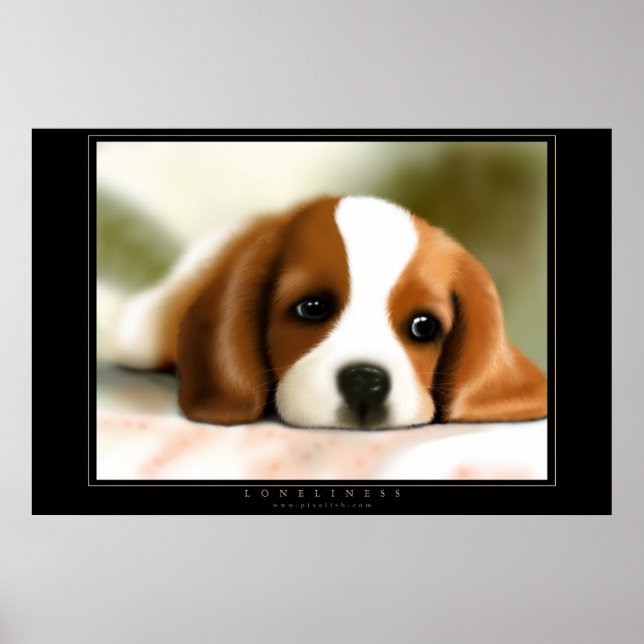 Poster Solidez (Frente)