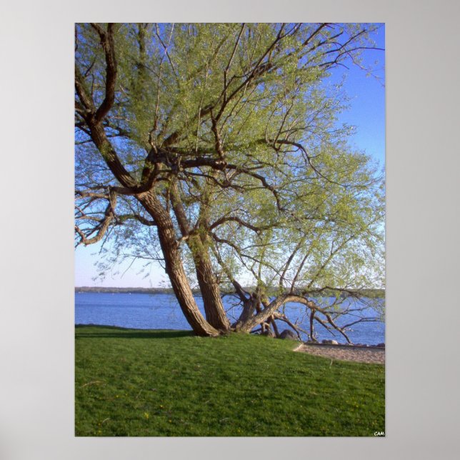 Póster Solitário (Frente)