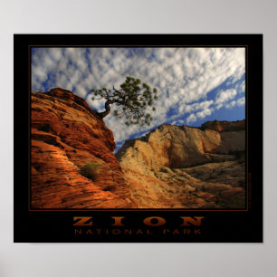 Poster solitário da árvore de Zion