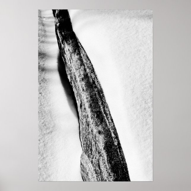 Poster solitário frio de duro longo (Frente)