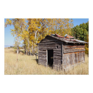 Póster Solitário Pequeno Shed