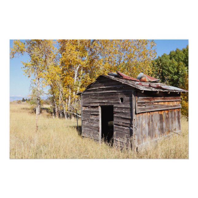 Póster Solitário Pequeno Shed (Frente)