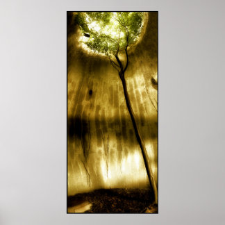 Póster Solitude