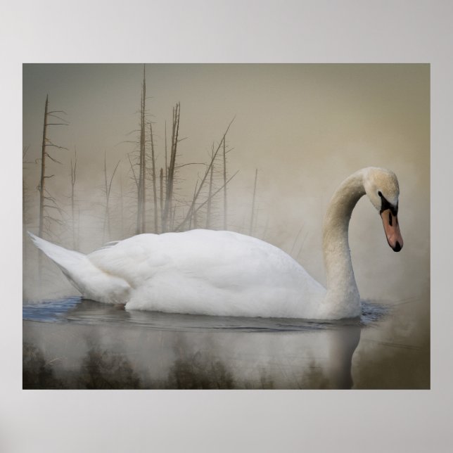 Poster Solitude (Frente)