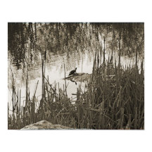 Solstício de inverno