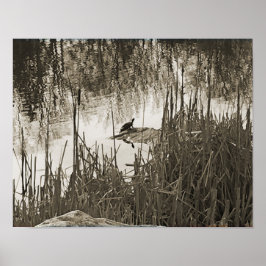 Poster Solstício de inverno