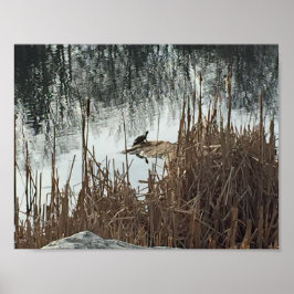 Póster Solstício de inverno