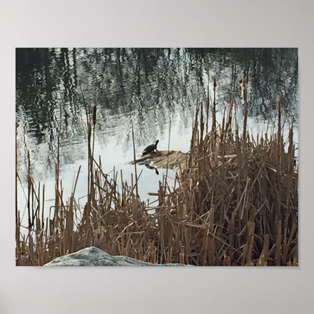 Póster Solstício de inverno (Frente)