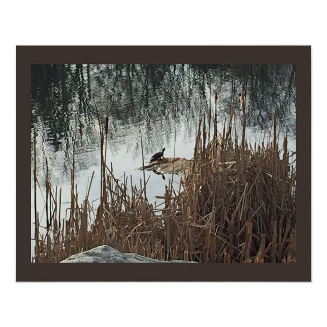 Póster Solstício de inverno (Frente)