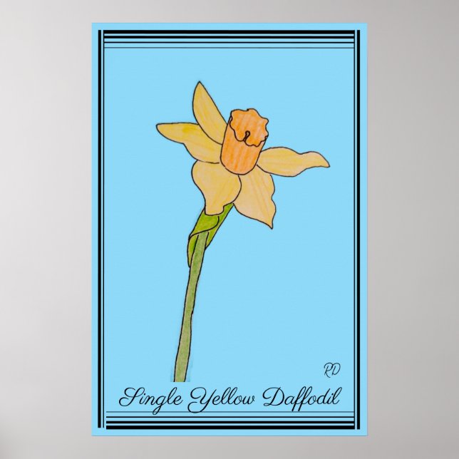 Poster Solteiro Amarelo Daffodil Bebê Azul (Frente)