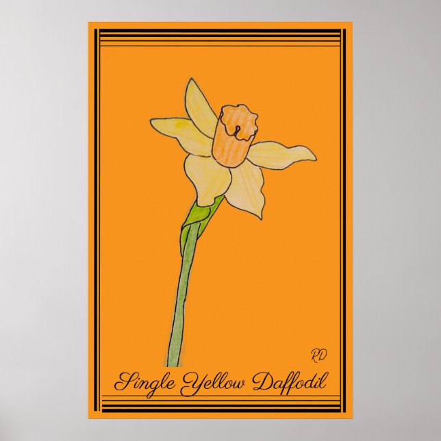 Poster Solteiro Amarelo Daffodil Laranja (Frente)