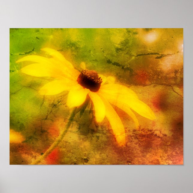 Poster Solteiro Black Eyed Susan Daisy Abstrato Grunge (Frente)