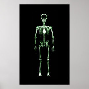 Poster - Solteiro de visão de raios X - Esqueleto