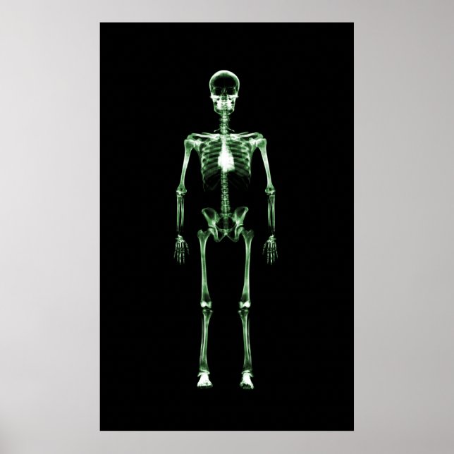 Poster - Solteiro de visão de raios X - Esqueleto  (Frente)
