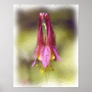 Póster Solteiro Red Columbine Flower Art
