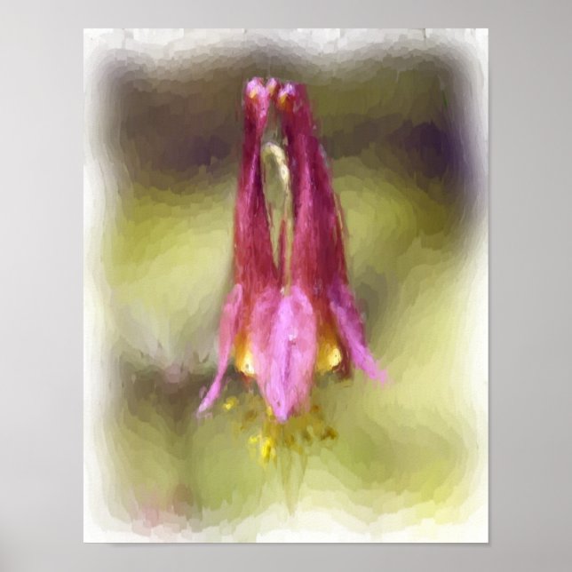 Póster Solteiro Red Columbine Flower Art (Frente)