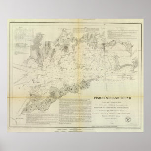 Poster Som da ilha de Fisher