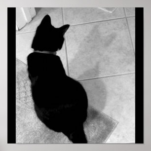 Póster Sombra B+W da Lucy