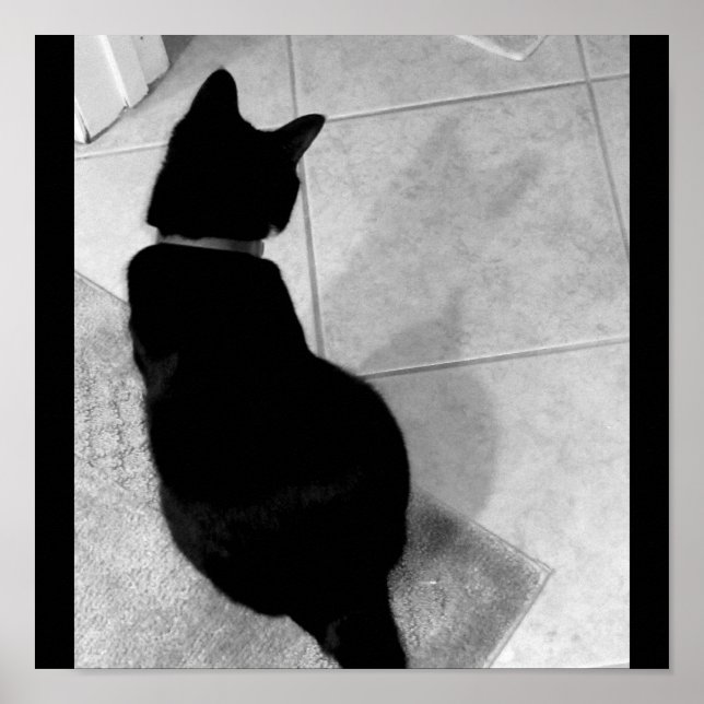 Póster Sombra B+W da Lucy (Frente)