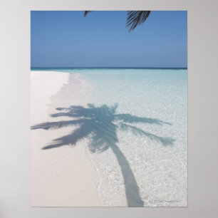 Póster Sombra de uma palmeira em uma praia abandonada da