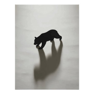 Póster Sombra de Urso Negro na Solidão Branca