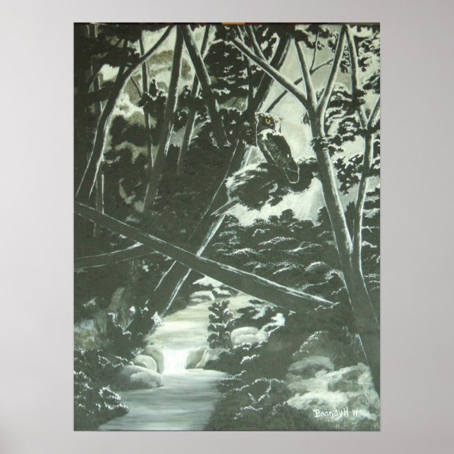 Póster Sombras (Frente)