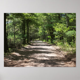 Póster Sombras à tarde