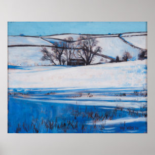 Póster Sombras de Neve 2010