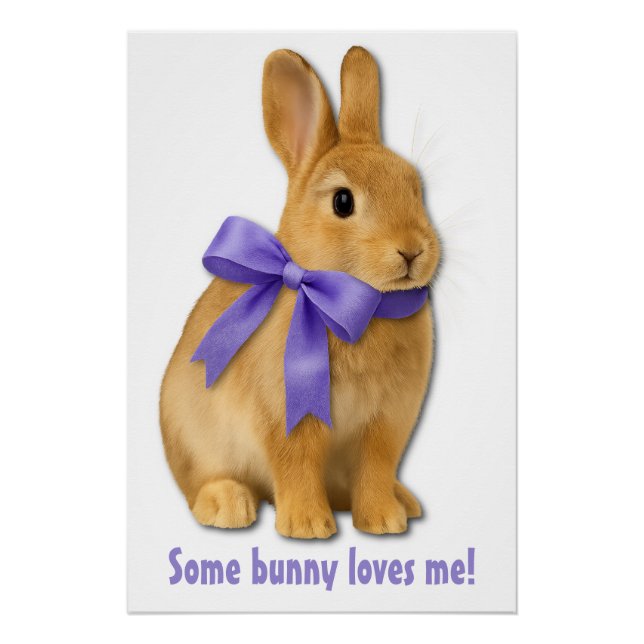 Póster Some bunny loves me! (Frente)