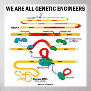 Poster Somos Todos Engenheiros Genéticos (Gene Splicing)