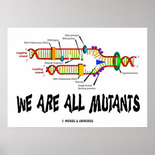 Póster Somos Todos Mutantes (Replicação de DNA)