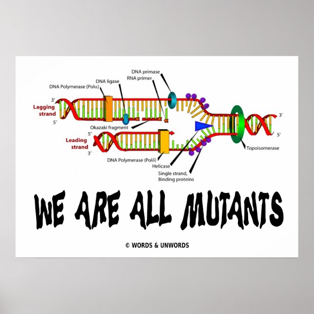 Póster Somos Todos Mutantes (Replicação de DNA) (Frente)