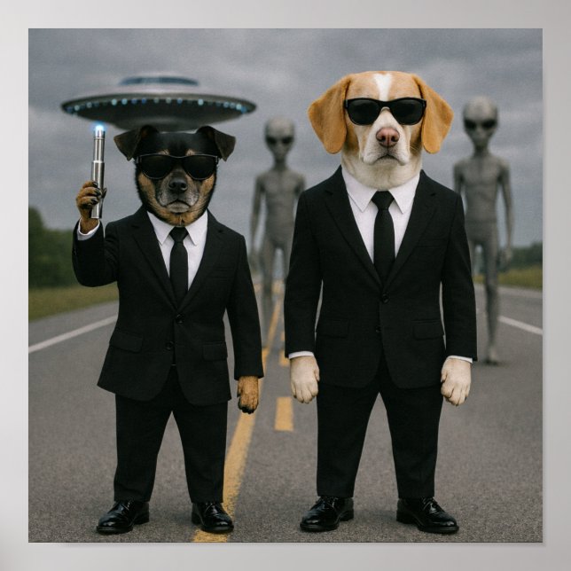 Poster "Somos um Boato" (Frente)