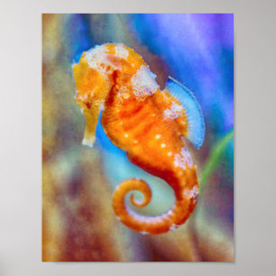Poster Sonda Laranja com Cavalo