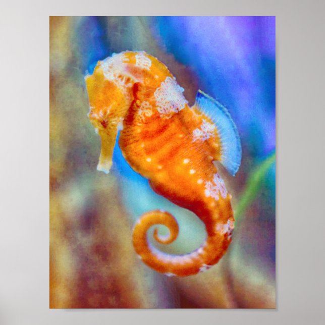 Poster Sonda Laranja com Cavalo (Frente)