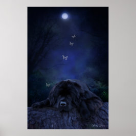 Póster Sonhador da Floresta